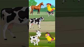 কার ছানা এটা টুনি। পাখিরগল্প বাংলা Raju cartoon shortsfeed [upl. by Scottie]