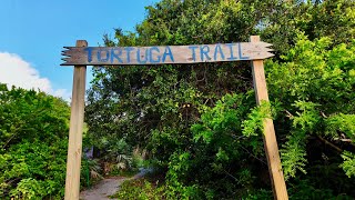 Tortuga Trail Hiking FAU’s Secret Oasis [upl. by Acirema]