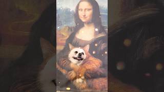 Monalisa hugs Niconico smartnico cute funny pets [upl. by Norean882]