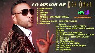 Lo Mejor de Don Omar 1º Parte  HBDJ [upl. by Karwan]