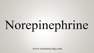 How To Say Norepinephrine [upl. by Ahsan]