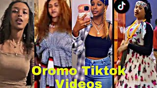 Sirba afaan oromoo haaraa 2022 Oromo music  oromotiktok [upl. by Surtemed7]