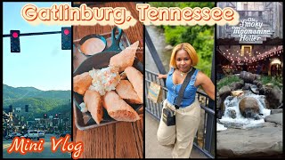 ☀️MINI VLOG🏔Come with Me to GatlinburgTennessee 🏔Free Tastings Yummy Food and VibesQuick Trip [upl. by Nylarat636]