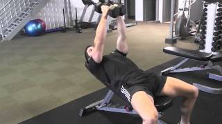 Squeeze Presses To Develop Your Chest  Day 63 WellFit 365 [upl. by Yve]