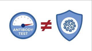 Serologic Testing What Are Antibodies [upl. by Loseff890]