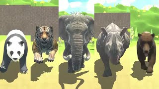 Asian Animals Speed Races  Elephant Rhino Tiger Panda Bear [upl. by Jelle]