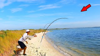 Craziest Beach Fishing Morning of the Year [upl. by Iinde]