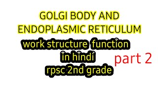 Golgi apparatus  endoplasmic reticulum  golgi body structure and functions cell structure in hindi [upl. by Ellenahs]