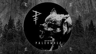 Paleowolf Age of the Wolf compilation  Dark prehistoric tribal ambient [upl. by Civ586]