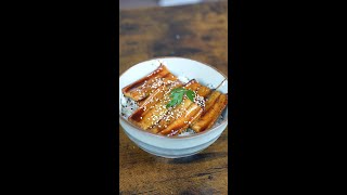 10Minute Unagi Don [upl. by Barkley]