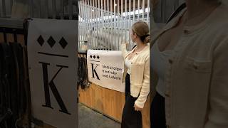 Die Kladruber auf der Pferd Bodensee Messe 😍‼️ shorts horse kladruber [upl. by Ytsirhk341]