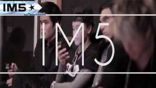 IM5  Royals Cover Español [upl. by Rehpatsirhc152]