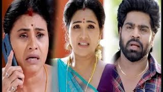 ஆதாரம் ஆதாரம் சொல்லி சேதாரம் பண்றியேToday EpisodeReview 30th Nov tamilserialreview pandianstores [upl. by Trygve]