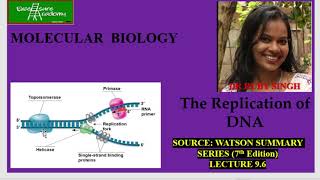 DNA Replication Chapter 9 Lecture 6 WatsonSummarySeries Replication fork RNAse H helicases [upl. by Alper529]