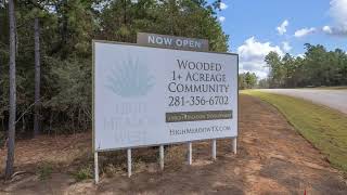 Acreage Land For Sale in Montgomery County Texas [upl. by Korfonta938]