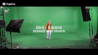 bini  karera slowed  reverb 🎵 [upl. by Eenahc]