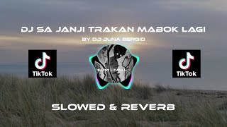 DJ SA JANJI TRAKAN MABUK LAGI  V2  SLOWED [upl. by Erhart]