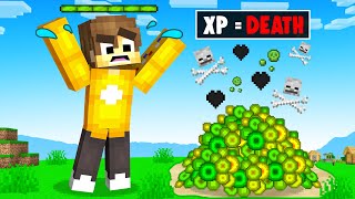 If I PICK UP Any XP In Minecraft  I DIE [upl. by Lennard]