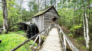 Cades Cove TN amp Smoky Mountains National Park [upl. by Gaspard176]