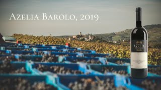 Обзор итальянского вина Бароло  Barolo Azelia 2019 [upl. by Erdied817]