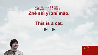 HSK 1 Chinese Sentences Remastered 7 [upl. by Hesta]