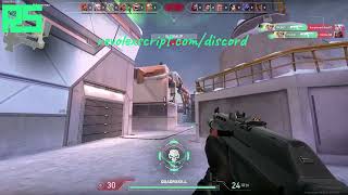 Valorant Triggerbot Gameplay 2024 [upl. by Eceinwahs]