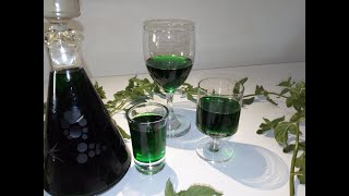 Liker od sveže nane  Fresh mint liqueur liker liqueur svežanana mint kuhinjicamašaija [upl. by Brigit]