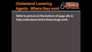 Cholesterol Lowering Agents  Where they work [upl. by Anaejer]