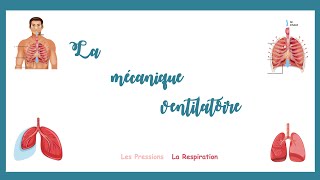 La mécanique ventilatoire la mécanique de la respirationPressions respirationPhysiologie [upl. by Aina]