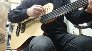 Godin A5 Ultra Natural Fretless AE DEMO2 [upl. by Milks538]