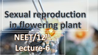 Neet12th biology 2021  Reproduction in flowering plant NCERT chapter 2  Lecture 6 [upl. by Tonia932]