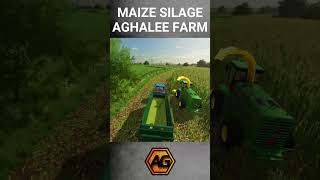 Maize Silage at Aghalee Farm farmingsimulator22 maize johndeere [upl. by Crotty661]