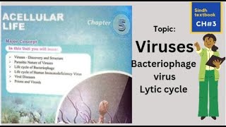 Lytic cycle l Bacteriophage virus l XI biology l A cellular life [upl. by Burrton]