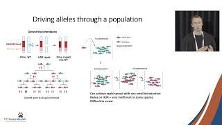 Dr Michael Clark  Engineering zebrafish [upl. by Priest769]