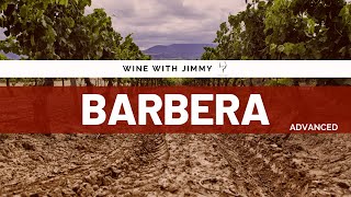 Wine Grape Varieties Barbera  Advanced Version ideal for WSET Level 3 and Level 4 Diploma [upl. by Aitahs]