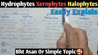 Osmotic Adjustment In Plants  Hydrophytes Xerophytes amp Halophytes  Class 10 Biology [upl. by Ariaet]