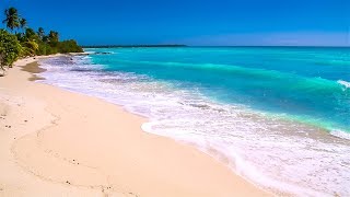 Waves on Saona Island  Relaxing Beach Sounds of the Caribbean Sea For Study Meditation and Sleep [upl. by Baiel]