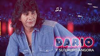 Darío y Su Grupo Angora  Grandes éxitos  ENGANCHADO [upl. by Aiel]