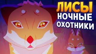 ЛИСЫ  НОЧНЫЕ ОХОТНИКИ  Endling  Extinction is Forever [upl. by Anawt]