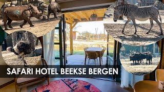 Beekse Bergen opent splinternieuw Safari Hotel in Safari Resort 2023 [upl. by Cliff384]