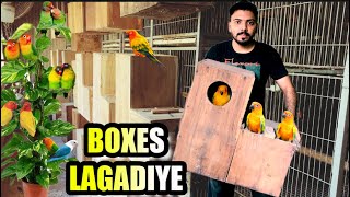 BOXES LAGADIYE 😍✅  PETS VLOGS  NEST BOX FOR PARROTS  How to set up a bird nesting box [upl. by Airtemed]