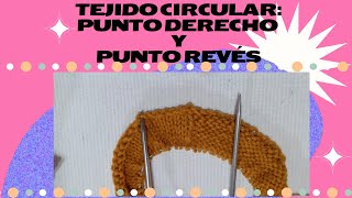 ✨ CURSO DE TEJIDO CON AGUJAS CIRCULARES Cómo tejer el punto derecho y el punto revés 🧶 [upl. by Aenaj]