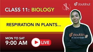 RESPIRATION IN PLANTS  Shuttle Systems  CLASS 11 Biology  9 AM By Ankita Maam  L10  Doubtnut [upl. by Roberts808]