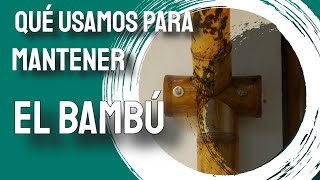 ☣️♻️ALTERNATIVAS PARA EL MANTENIMIENTO DEL BAMBÚ Aquí te enseño algunas de las opciones que tienes [upl. by Owiat]