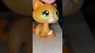 LPS MV Miraculous Ladybug 🐈‍⬛🐞Cat Noir POV shorts [upl. by Aicenert]