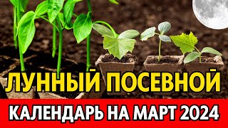 Когда сеять на рассаду в МАРТЕ 2024 Точный лунный посевной календарь на март 2024 по дням [upl. by Yortal]