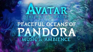 Avatar The Way of Water  Oceans of Pandora Music amp Ambience in 4K w ASMRWeeklyampWilliamMaytook [upl. by Felisha]