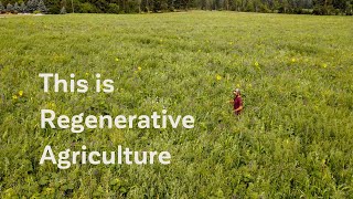 This is Regenerative Agriculture  Sustainability in Farming [upl. by Ynatirb]