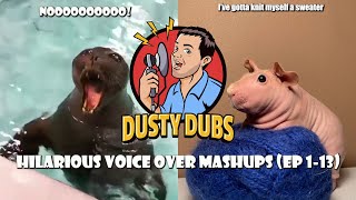 Dusty Dubs Hilarious Voice Over Mashups Ep 113 [upl. by Ettenwahs792]