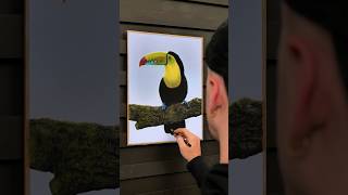 KeelBilled Toucan drawing process soft pastels amp pastel pencils on 30x40cm Pastelmat board [upl. by Yeldud358]